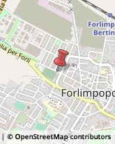 Profumerie Forlimpopoli,47034Forlì-Cesena