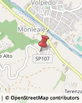 Autotrasporti Monleale,15059Alessandria