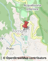 Pronto Soccorso Torriglia,16029Genova