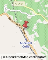 Cantine Sociali Alice Bel Colle,15010Alessandria