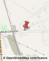 Autofficine e Centri Assistenza,15067Alessandria