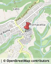 Agricoltura - Attrezzi e Forniture Barga,55051Lucca