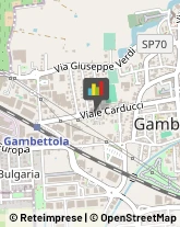 Autotrasporti Gambettola,47035Forlì-Cesena