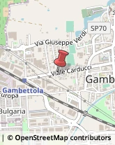 Autotrasporti Gambettola,47035Forlì-Cesena