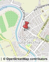 Studi Tecnici ed Industriali Concordia sulla Secchia,41033Modena