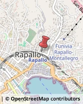Professionali - Scuole Private Rapallo,16035Genova