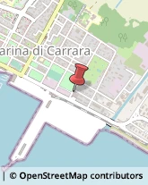 Consulenza alle Imprese e agli Enti Pubblici Carrara,54033Massa-Carrara