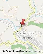 Scuole Pubbliche Pellegrino Parmense,43047Parma