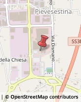 Spedizionieri Doganali Cesena,47522Forlì-Cesena