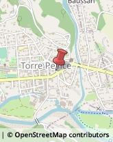 Alimentari Torre Pellice,10066Torino