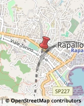 Componenti e Ricambi Auto Rapallo,16035Genova