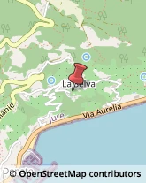 Agrumi Finale Ligure,17024Savona