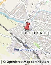 Prodotti Pulizia Portomaggiore,44015Ferrara