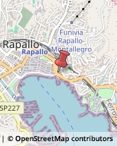 Assicurazioni Rapallo,16035Genova