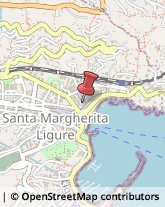 Antenne Televisione e Radio Santa Margherita Ligure,16038Genova