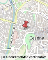 Spezie Cesena,47521Forlì-Cesena