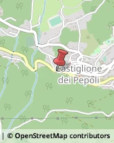 Porcellane - Dettaglio Castiglione dei Pepoli,40035Bologna