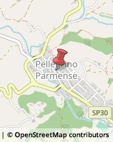 Demolizioni e Scavi Pellegrino Parmense,43047Parma