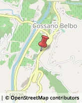 Ortofrutticoltura Cossano Belbo,12054Cuneo