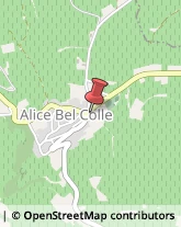 Cooperative Produzione, Lavoro e Servizi Alice Bel Colle,15010Alessandria