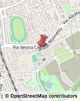 Centri di Benessere,48124Ravenna