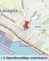 Commercialisti Lavagna,16033Genova