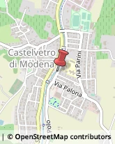 Sport - Scuole Castelvetro di Modena,41014Modena