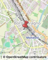 Trasporti Mondovì,12084Cuneo