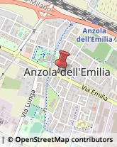 Pelletterie - Dettaglio Anzola dell'Emilia,40011Bologna