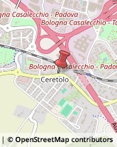 Autofficine e Centri Assistenza,40033Bologna