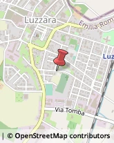 Piante e Fiori - Dettaglio Luzzara,Reggio nell'Emilia