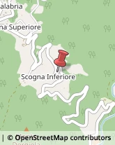 Aziende Agricole Sesta Godano,19020La Spezia