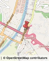 Lampadari - Dettaglio Lavagna,16033Genova