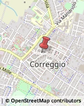 Consulenze Speciali Correggio,42015Reggio nell'Emilia