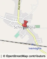 Scuole Pubbliche Schivenoglia,46020Mantova