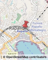 Locali, Birrerie e Pub Rapallo,16035Genova