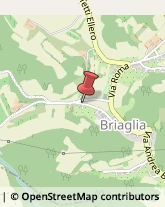 Aziende Agricole Briaglia,10Cuneo