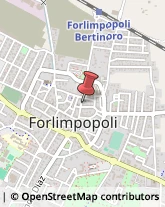 Artigianato Orientale Forlimpopoli,47034Forlì-Cesena