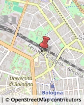 Gomma Articoli - Dettaglio Bologna,40127Bologna