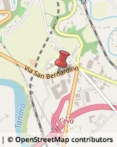 Imbalsamatori Ceva,12073Cuneo