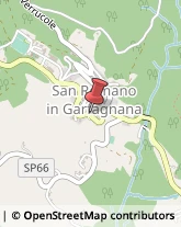 Farmacie San Romano in Garfagnana,55038Lucca