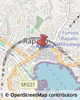 Marketing e Indagini di Mercato Rapallo,16035Genova