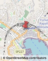 Ostetriche Rapallo,16035Genova