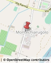 Antiquariato Montechiarugolo,43022Parma