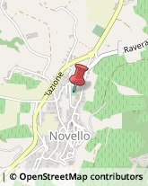 Aziende Agricole Novello,12060Cuneo