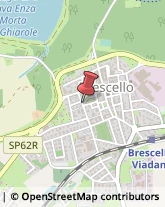 Associazioni Sindacali Brescello,42041Reggio nell'Emilia