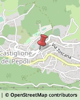 Vendite per Corrispondenza,40035Bologna