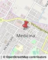 Zucchero Medicina,40059Bologna