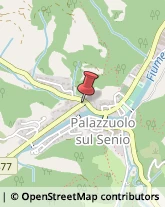 Scuole Pubbliche,50035Firenze