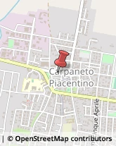 Maglieria - Dettaglio Carpaneto Piacentino,29013Piacenza